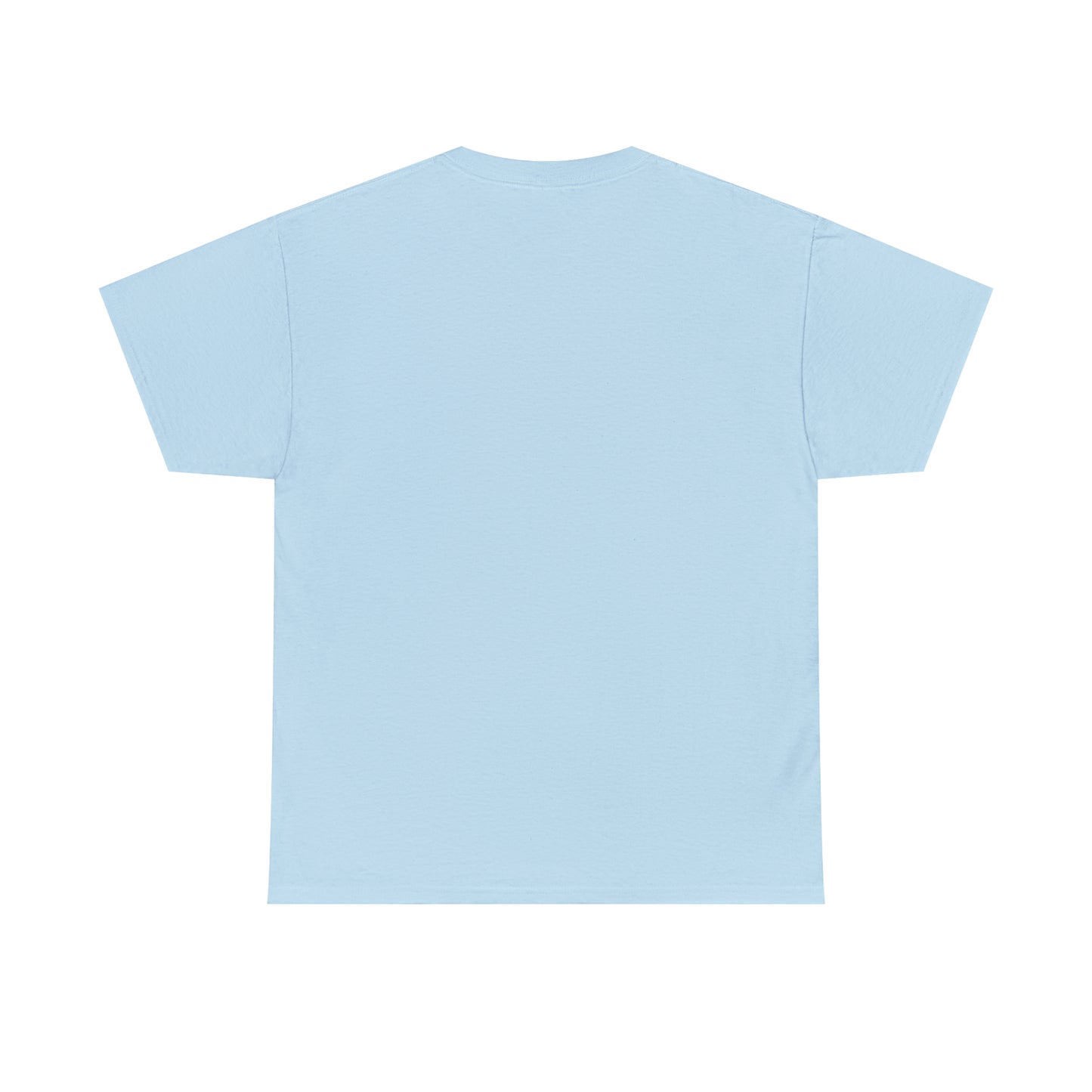 Light blue T-shirt, back side with no print
