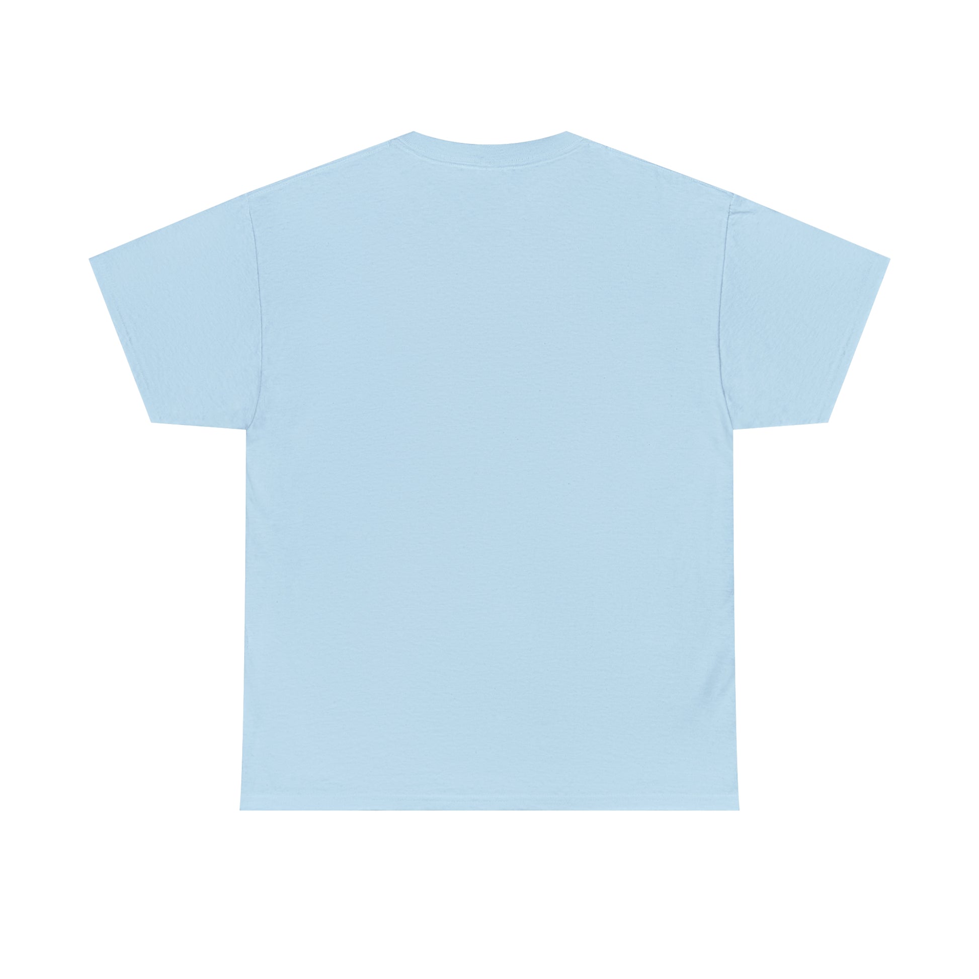 Light blue T-shirt, back side with no print