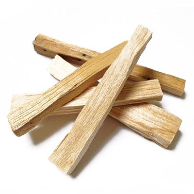 Palo santo Wooden sticks on a white background