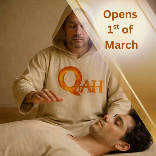 quantum healer training