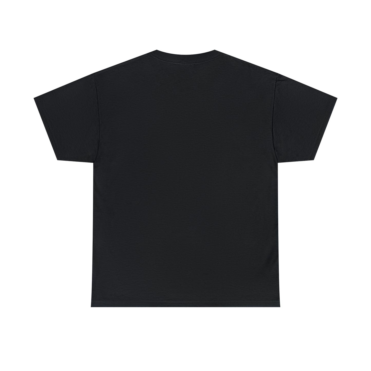 Back side of a black T-shirt with no print