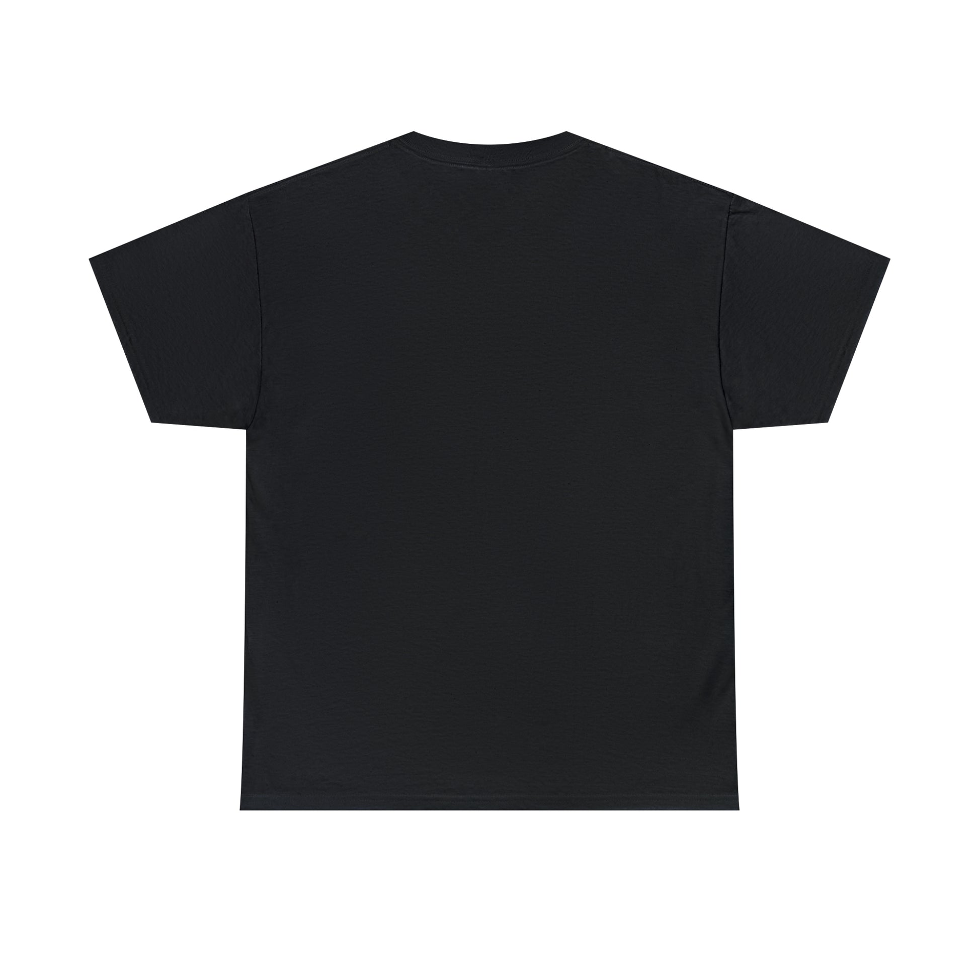 Back side of a black T-shirt with no print