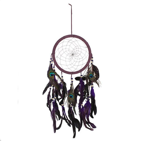 Peacock feather dreamcatcher